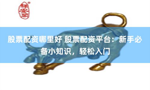 股票配资哪里好 股票配资平台：新手必备小知识，轻松入门