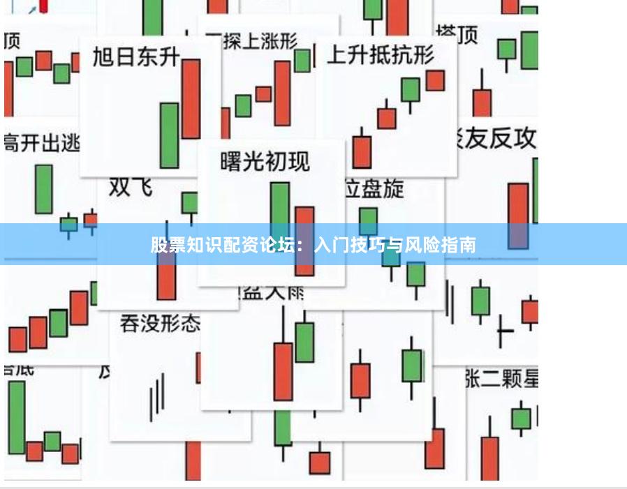 股票知识配资论坛：入门技巧与风险指南
